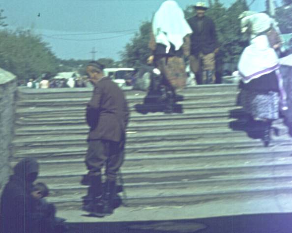 116-1.jpg