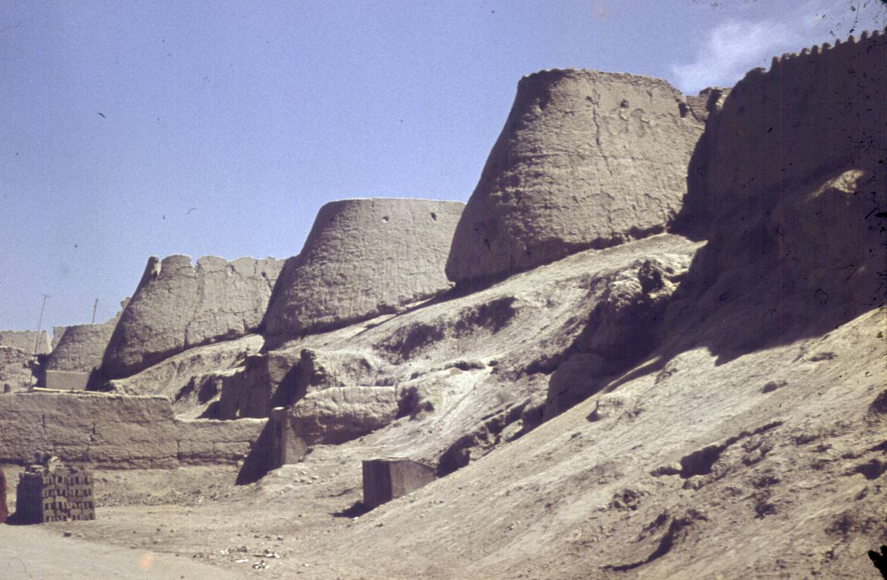 141.jpg