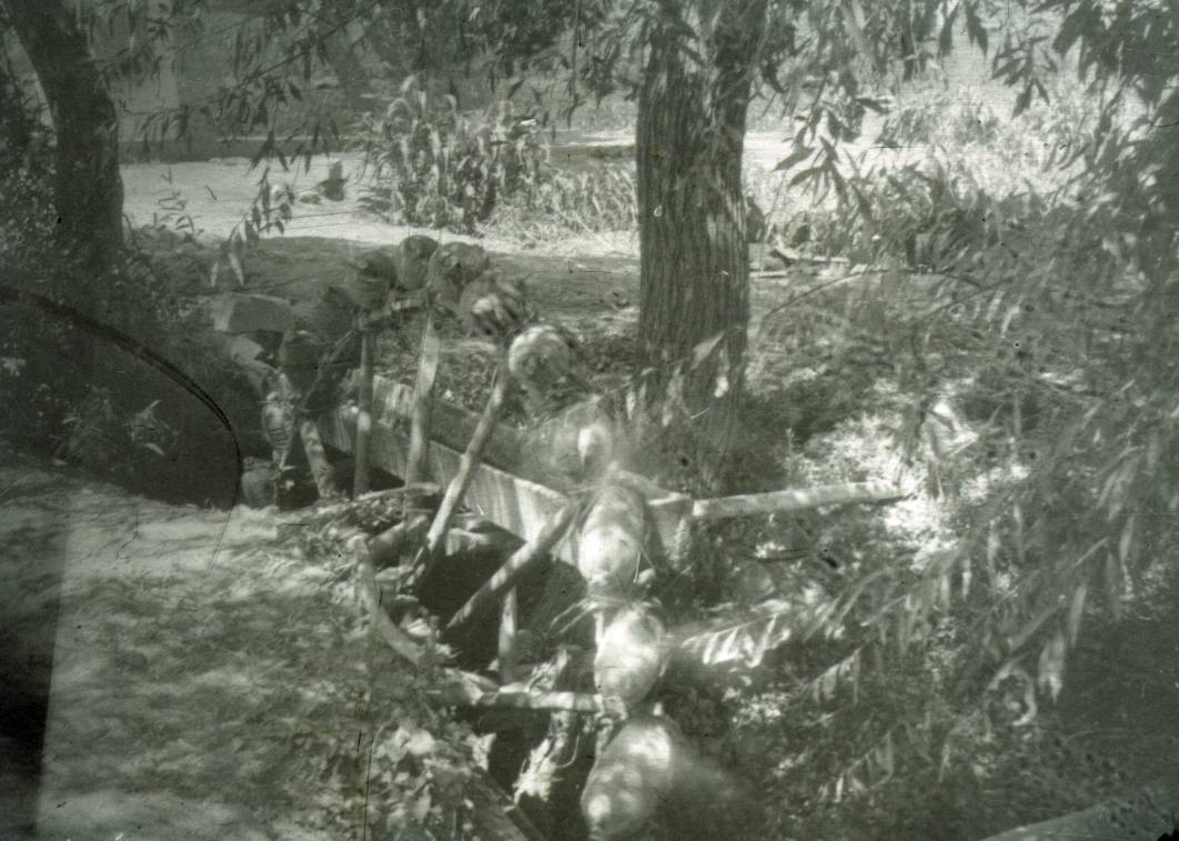 145.jpg