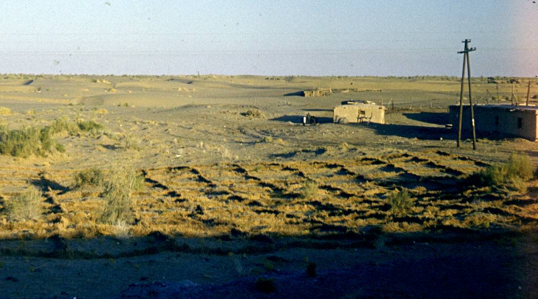 170.jpg