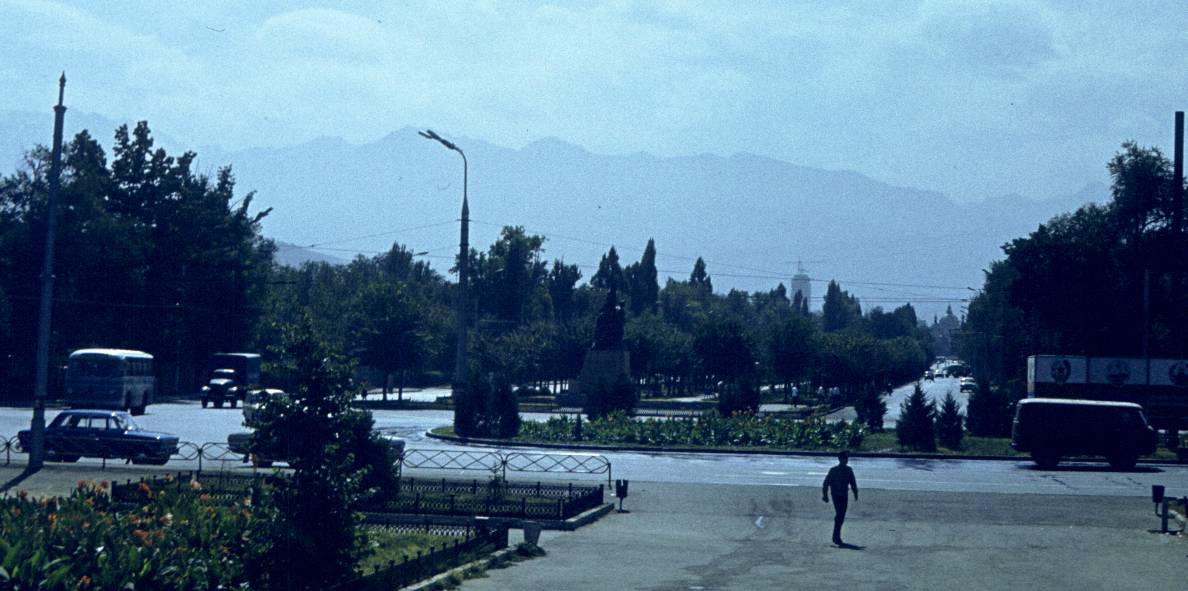 176.jpg