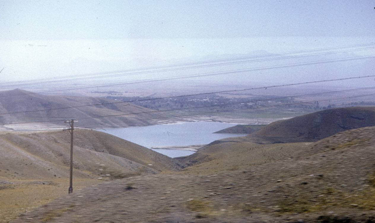 206.jpg