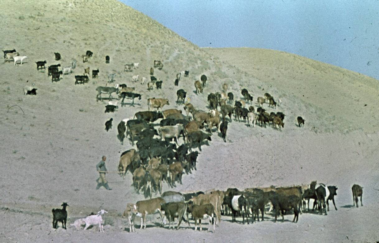 209.jpg