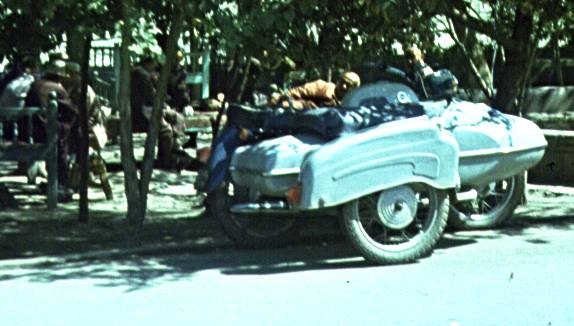 219-1.jpg