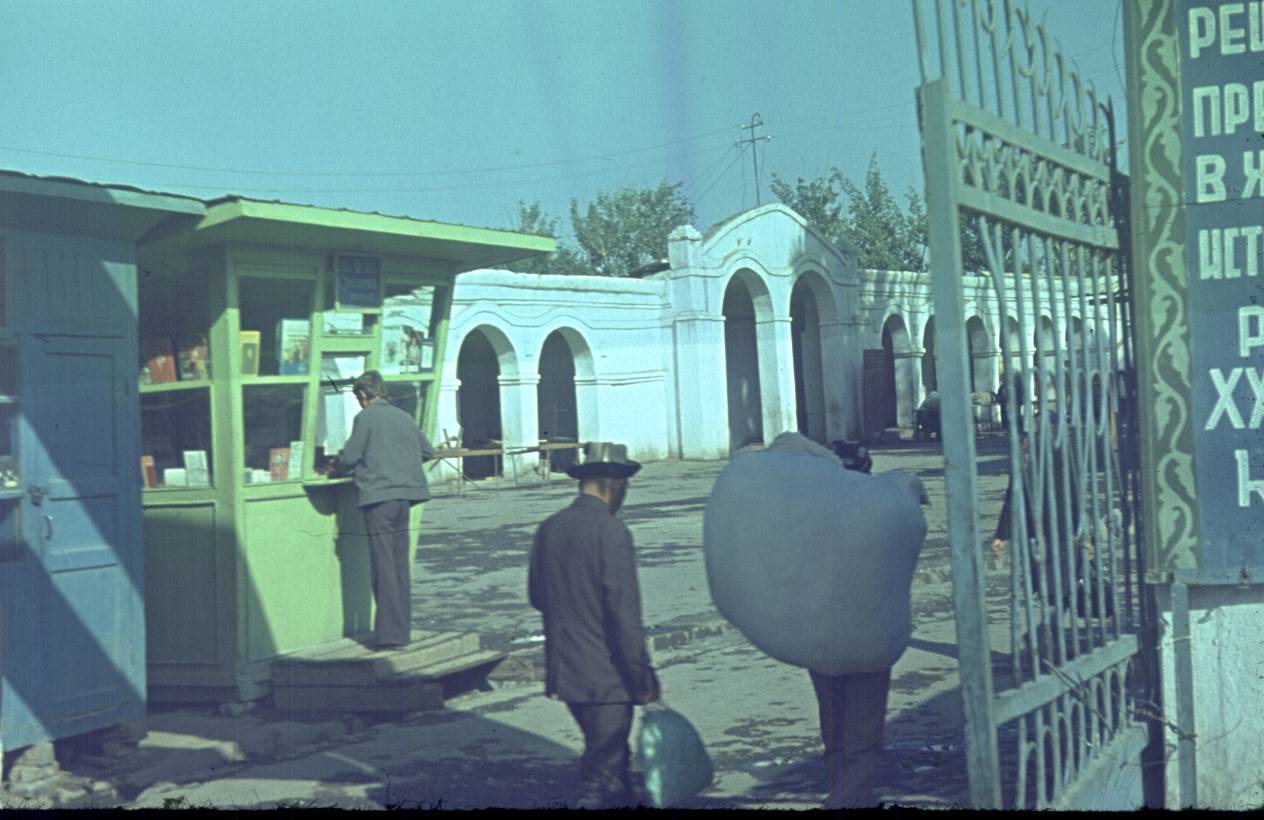 224.jpg
