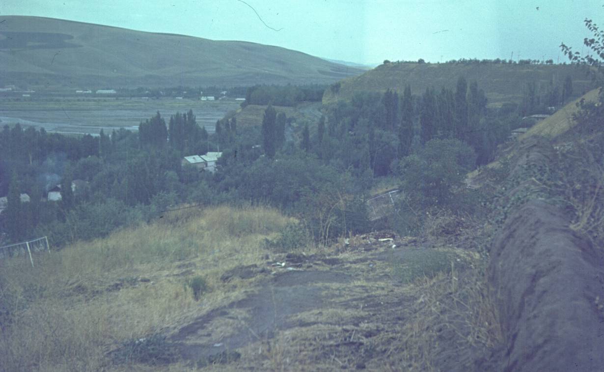 225.jpg