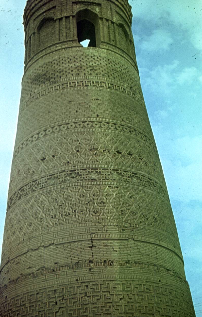 229.jpg