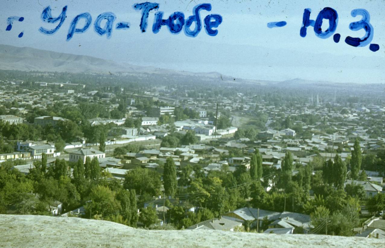 231.jpg