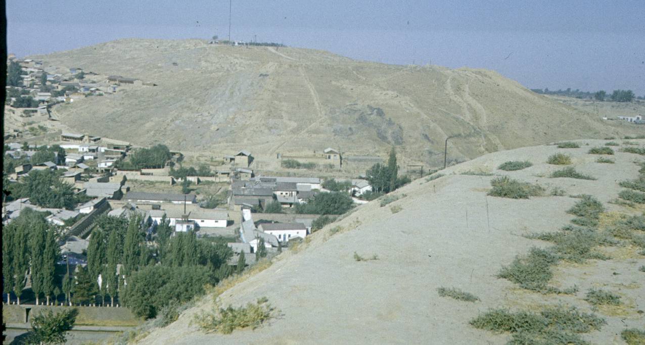 232.jpg