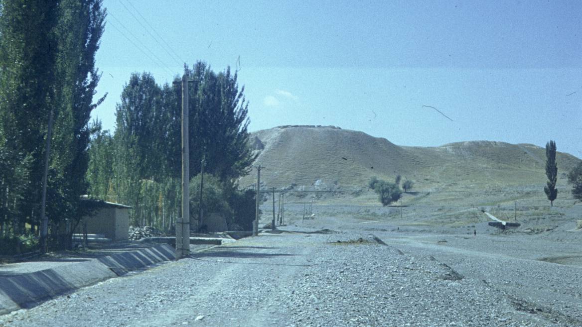 235.jpg