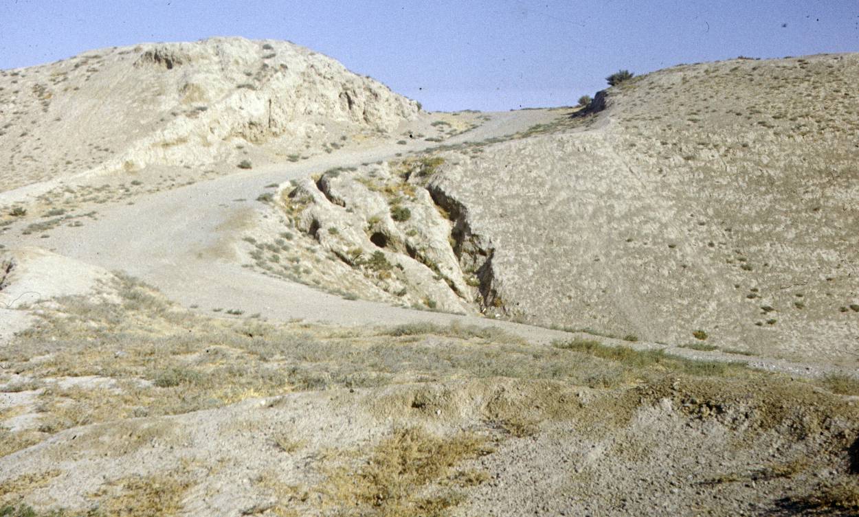 237.jpg