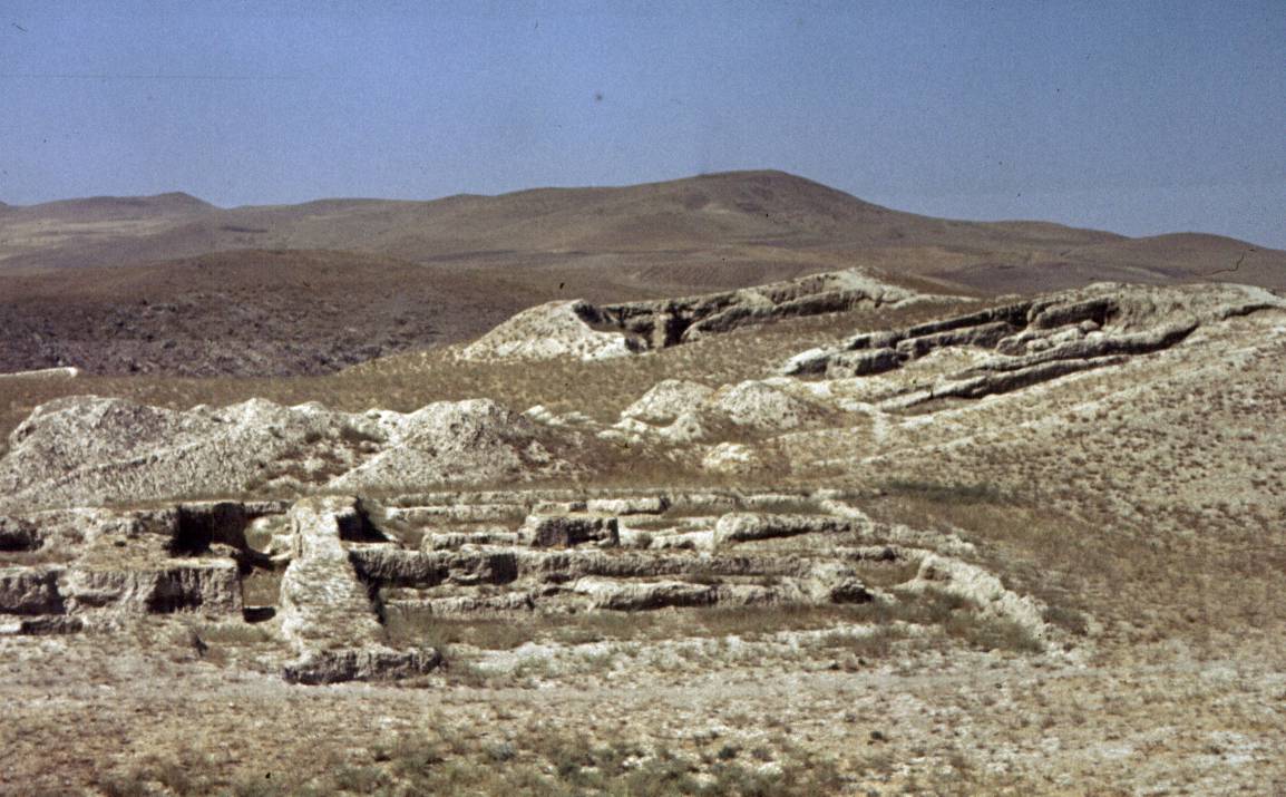 238.jpg