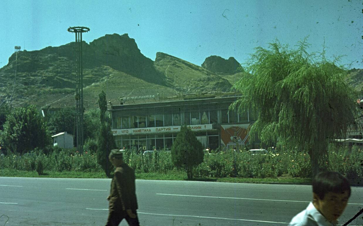 251.jpg