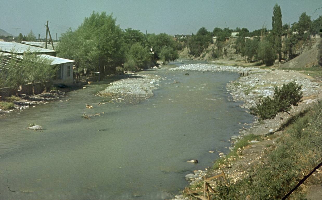 252.jpg
