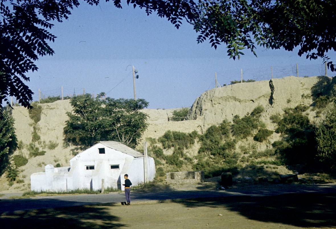 256.jpg
