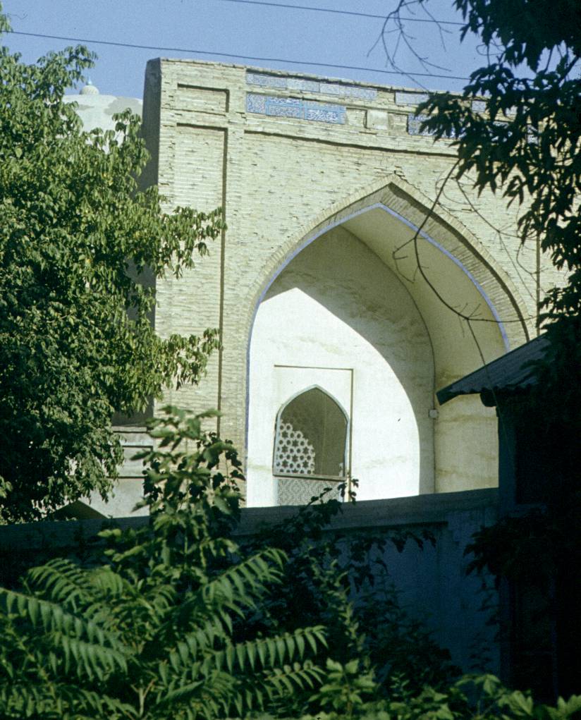 261.jpg