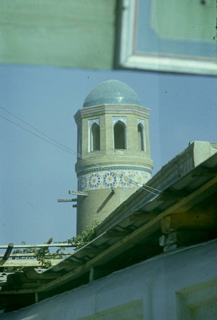 262.jpg