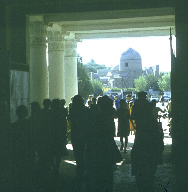 264.jpg