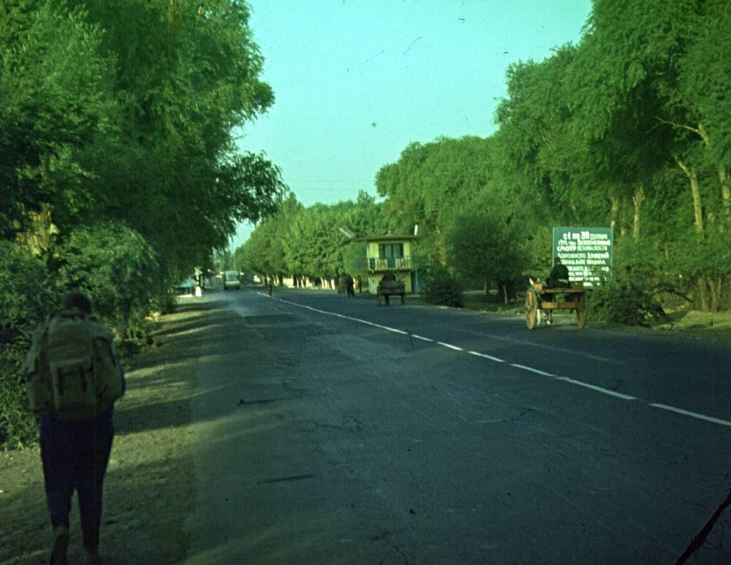272.jpg