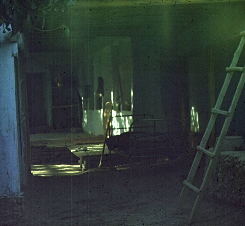 292.jpg