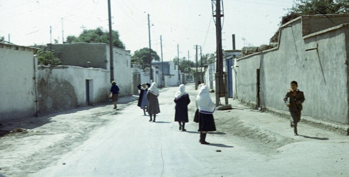 293.jpg