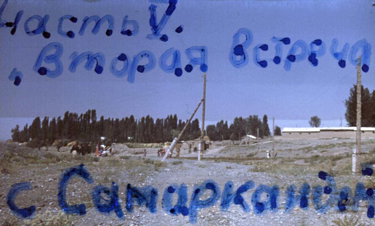 317.jpg