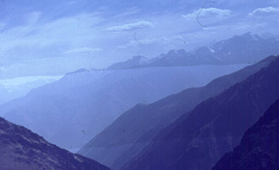 324.jpg