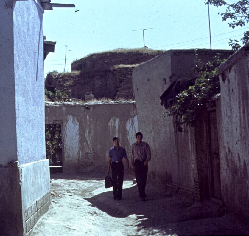 357.jpg