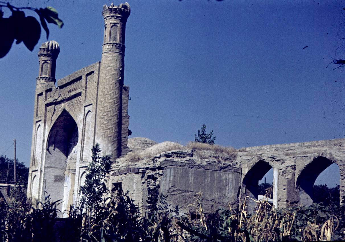 358.jpg