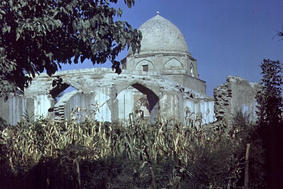 359.jpg