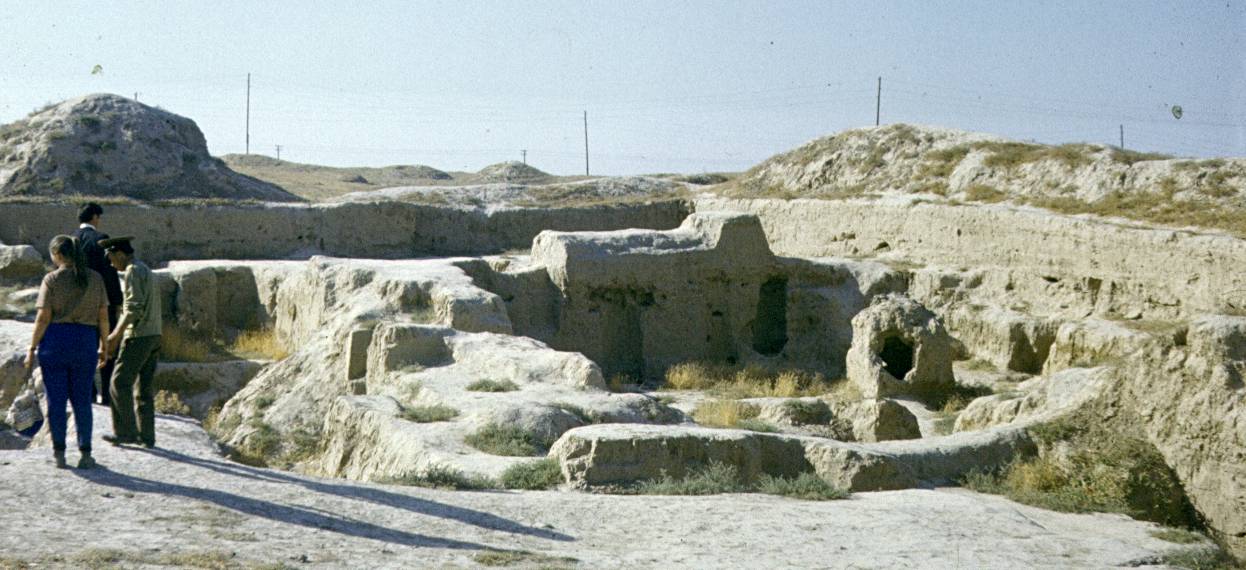 386.jpg