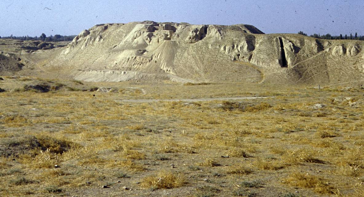 390.jpg