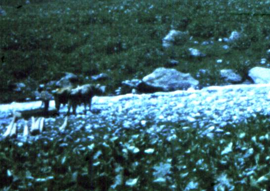 025.jpg