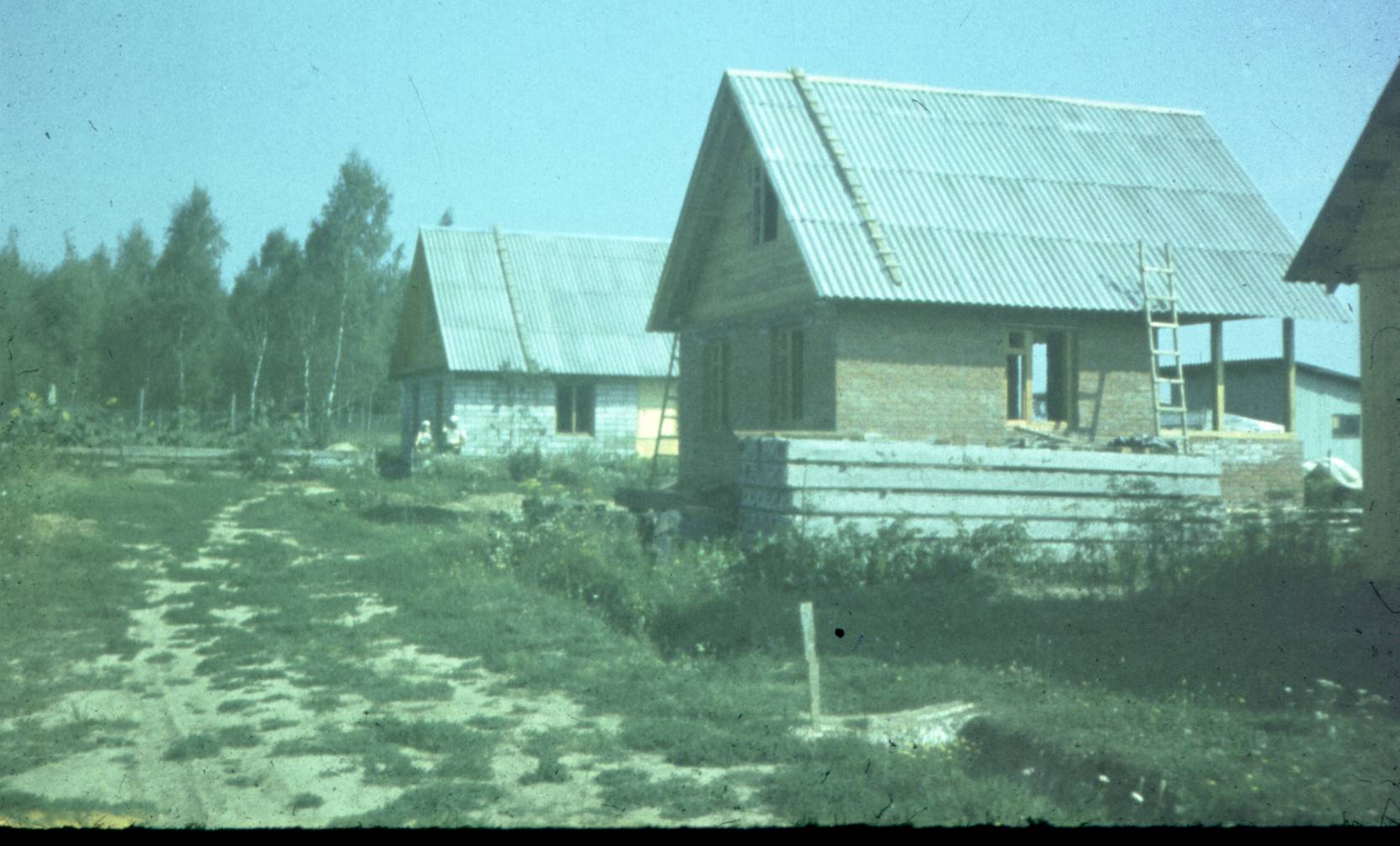 042-1.jpg