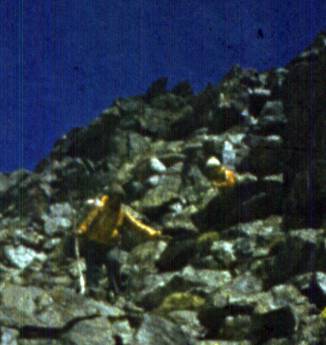111-1.jpg