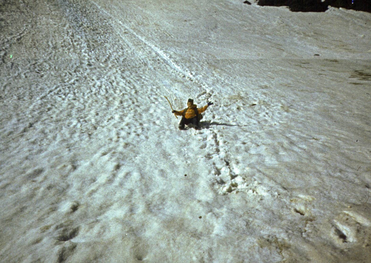 115.jpg