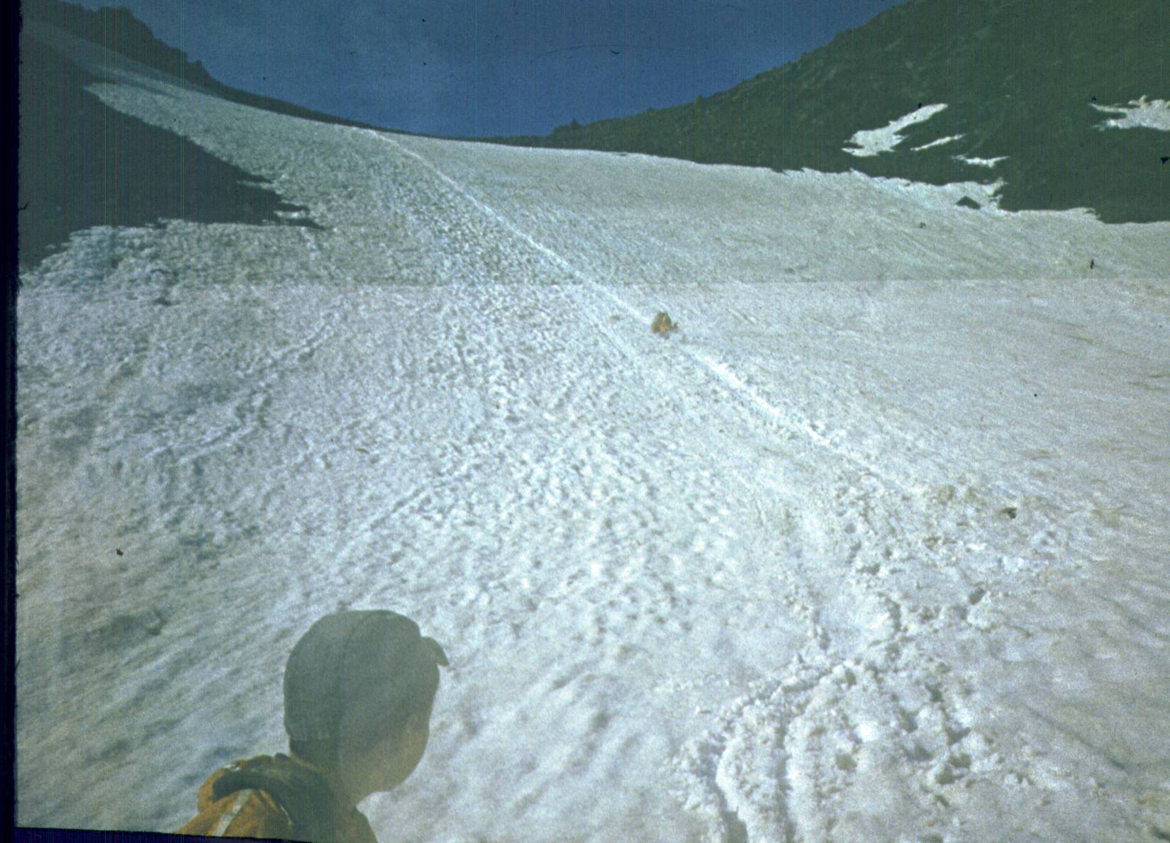 135.jpg