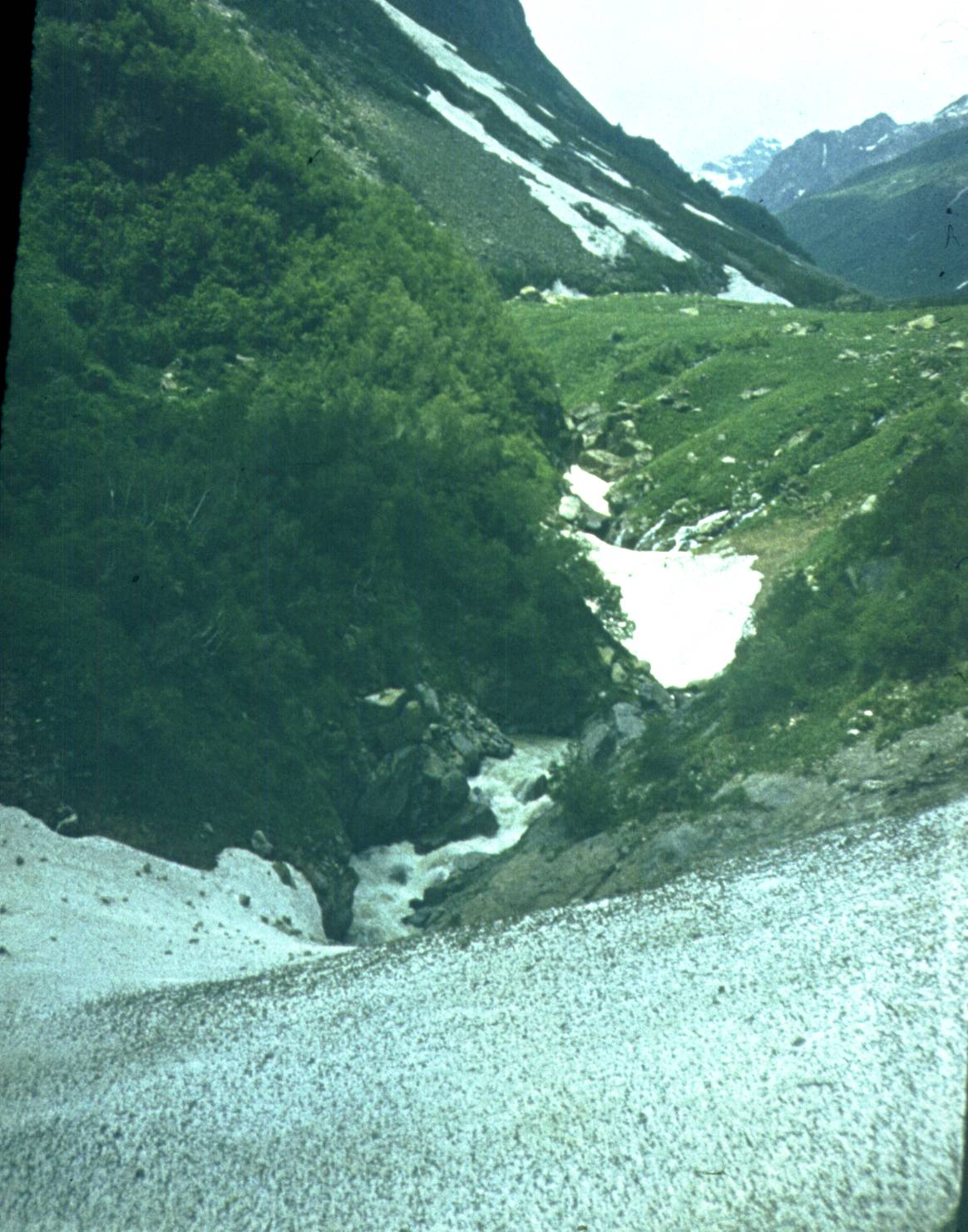 144.jpg