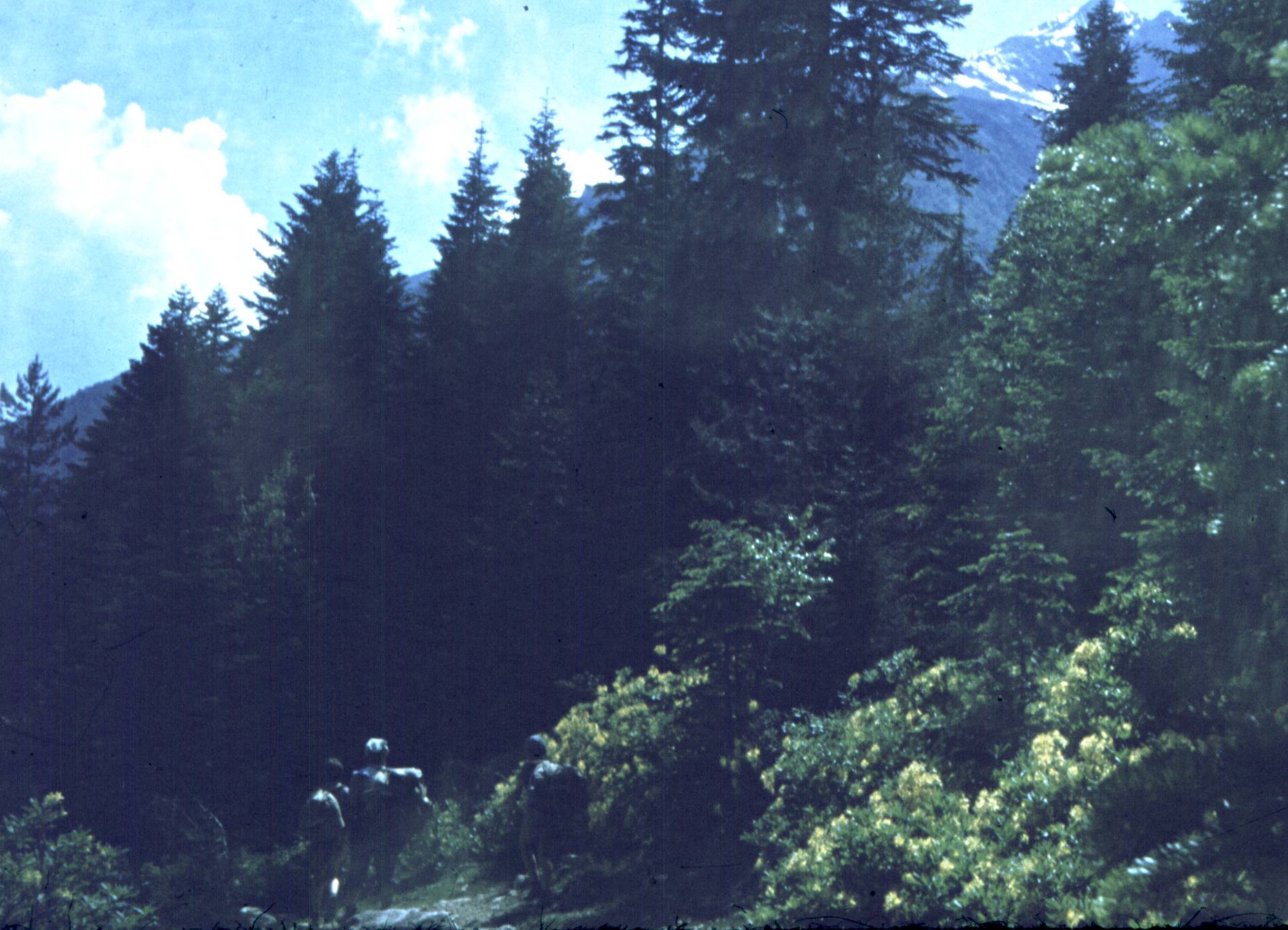 145.jpg
