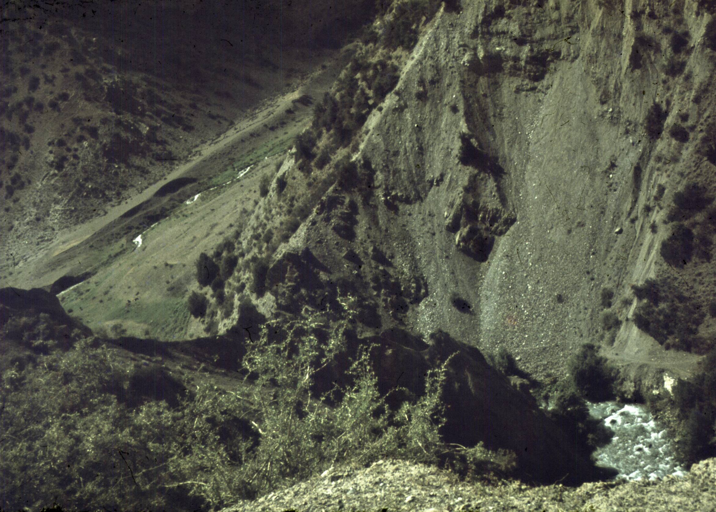 156.jpg