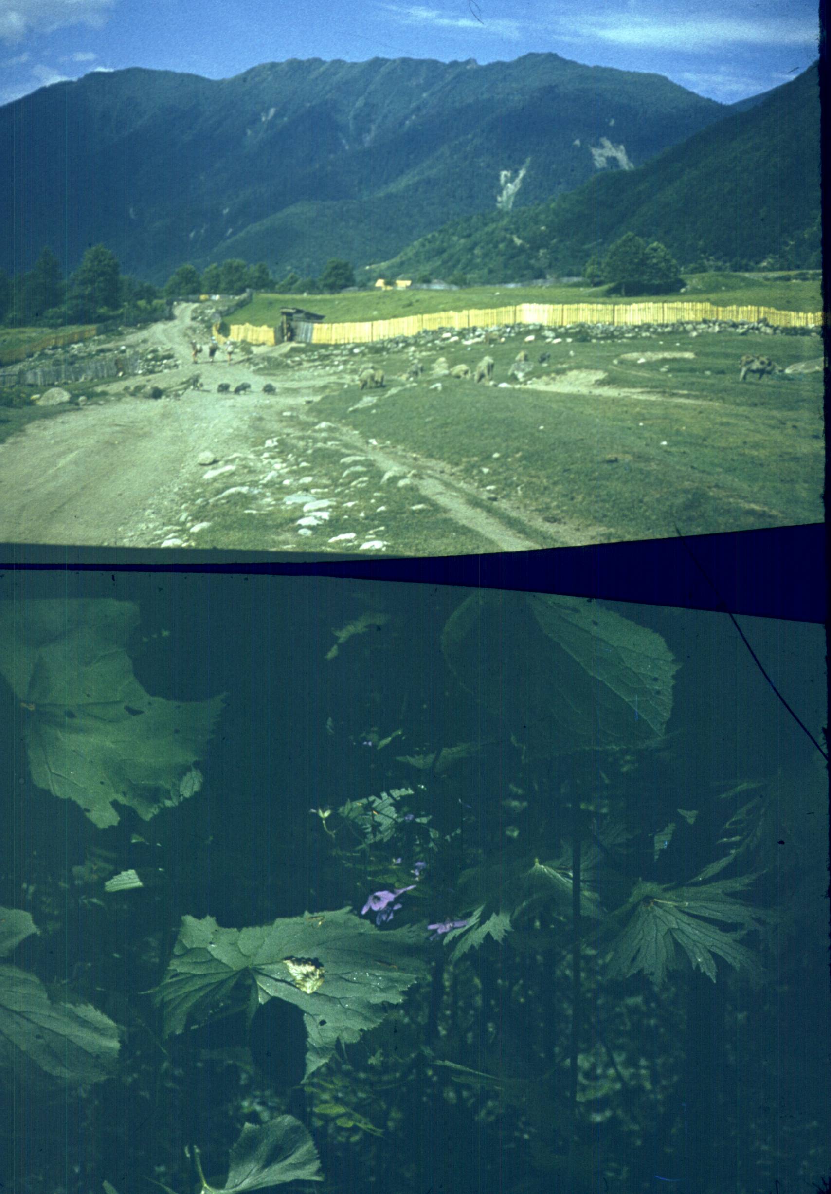 176.jpg