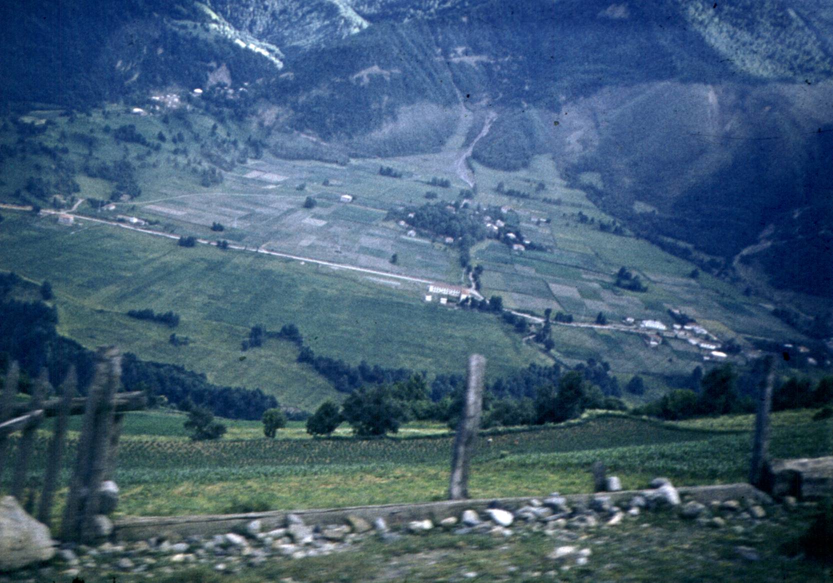 177.jpg