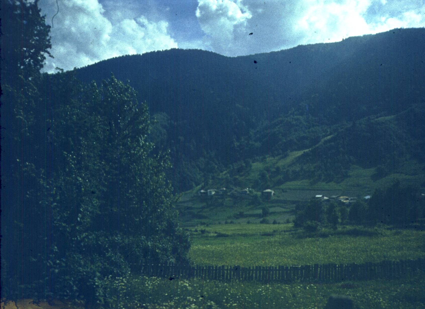 183.jpg