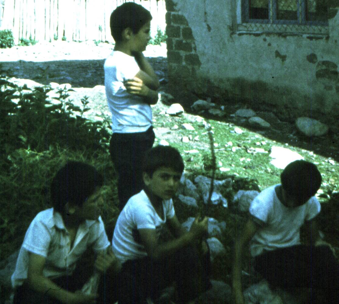 186-1.jpg