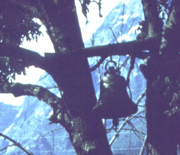 198-2.jpg