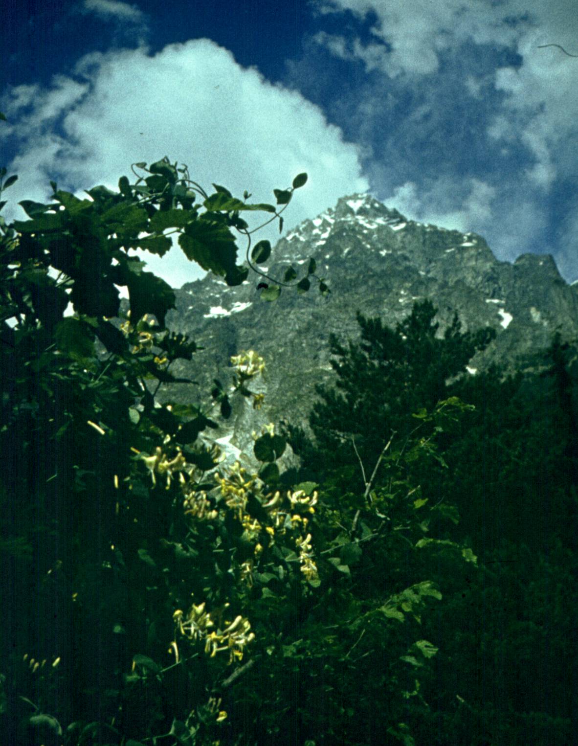 245.jpg