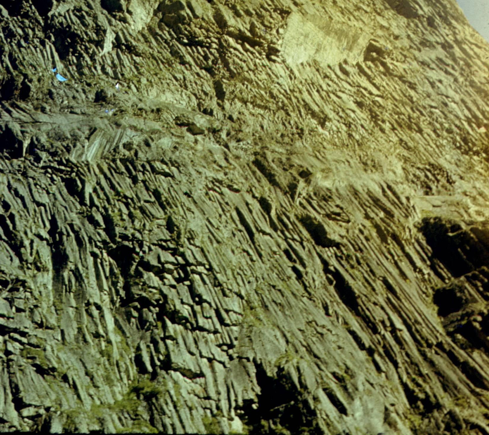 255.jpg