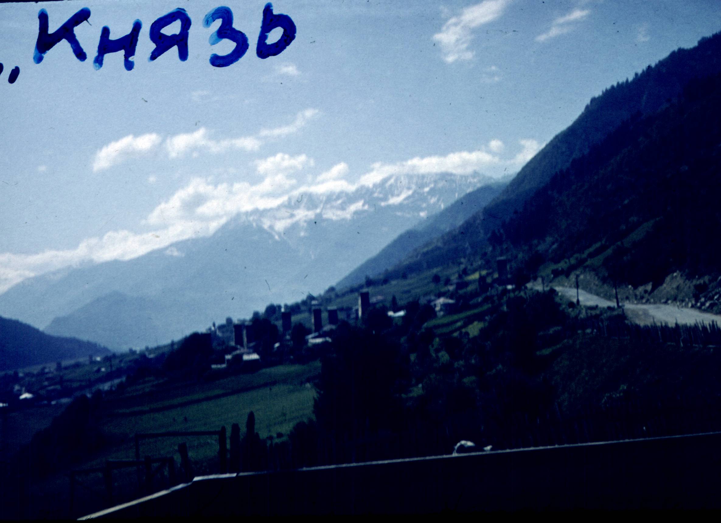 256.jpg
