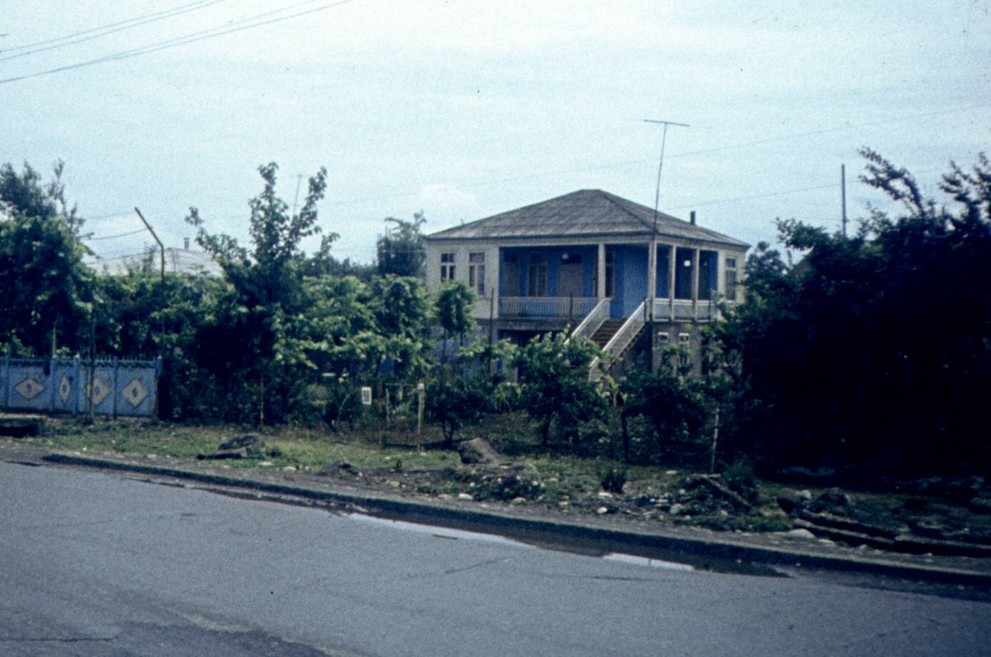 306.jpg