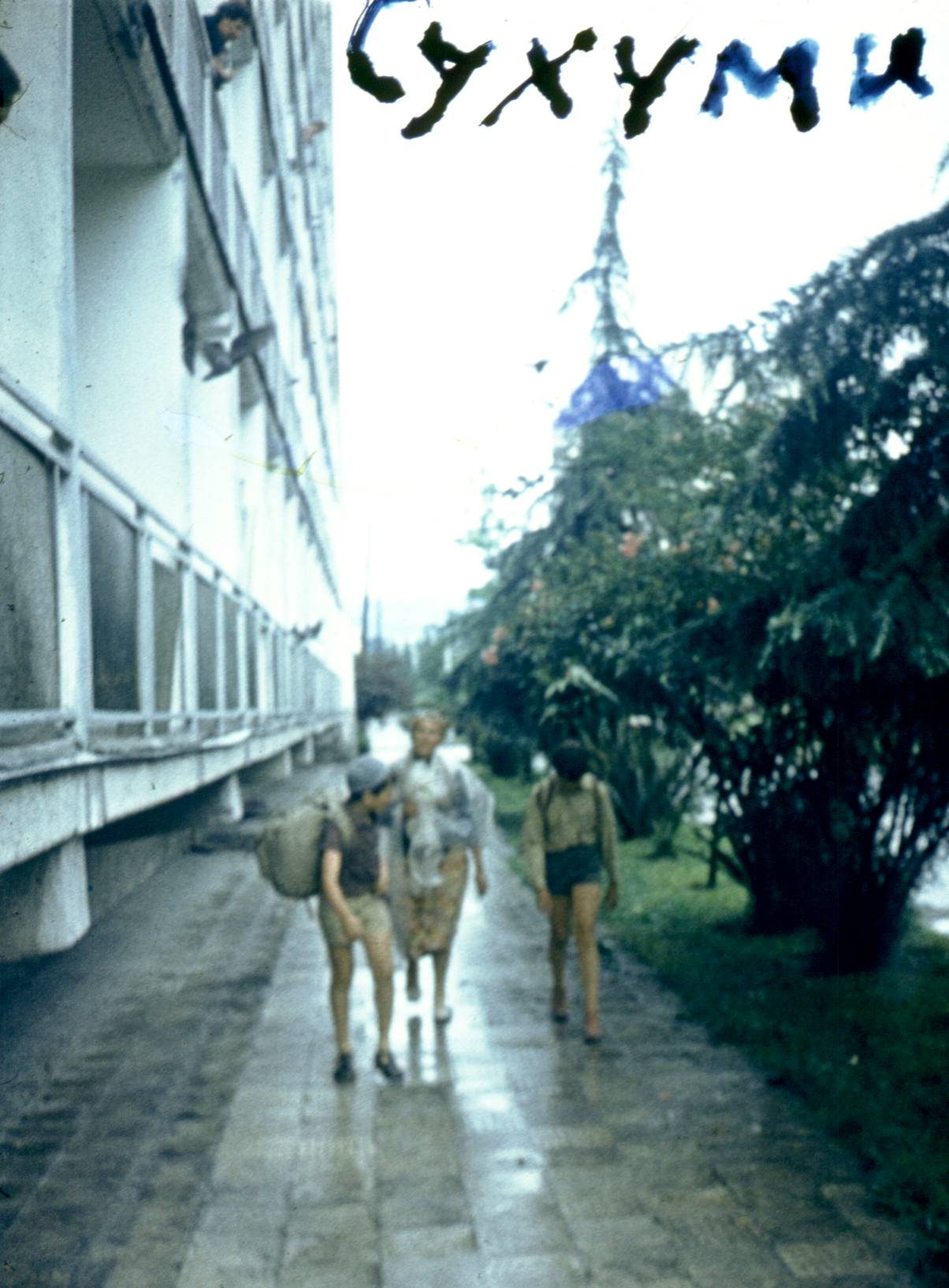 313.jpg